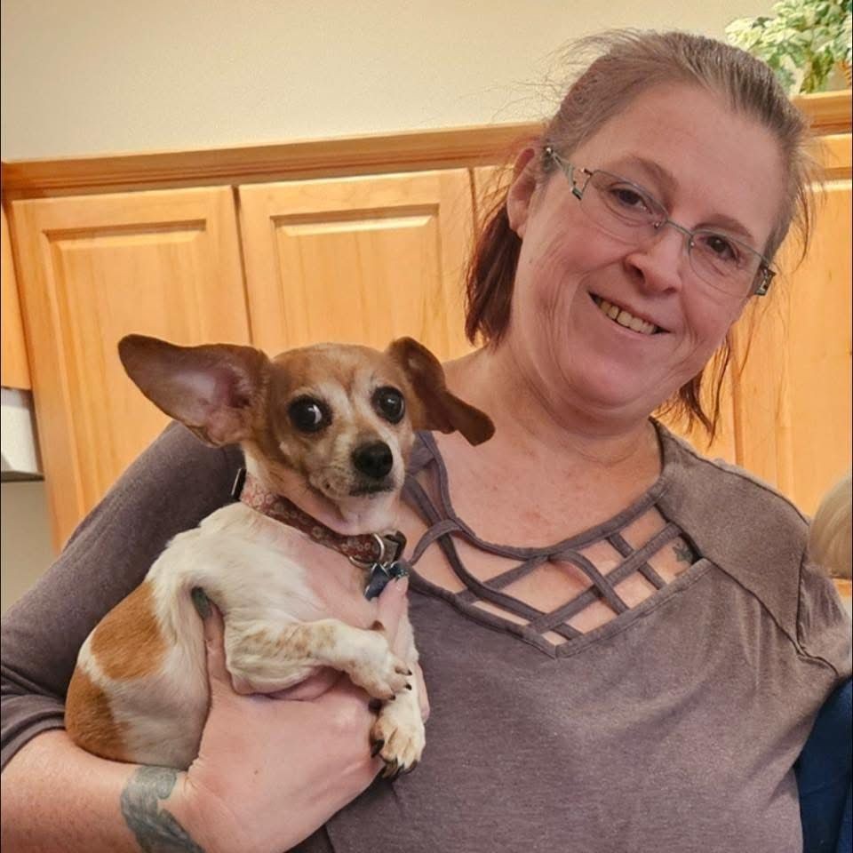 Person holding a small dog with large ears and brown patches in a warm-colored kitchen setting.